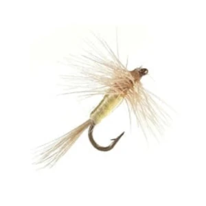 megabass